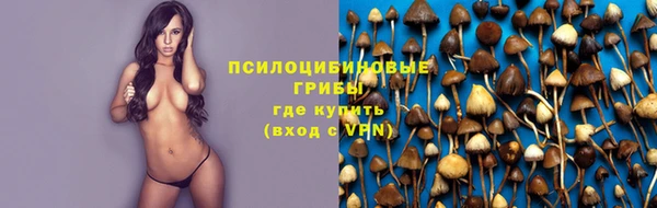 ALPHA PVP Горнозаводск