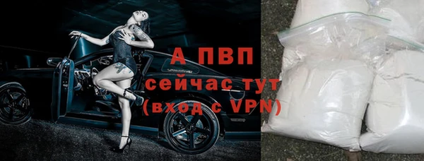 ALPHA PVP Горнозаводск