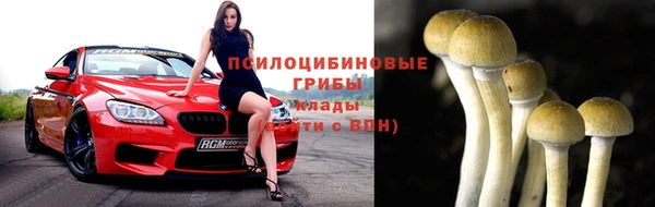 крисы Горно-Алтайск