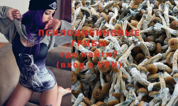 хмурый Горняк