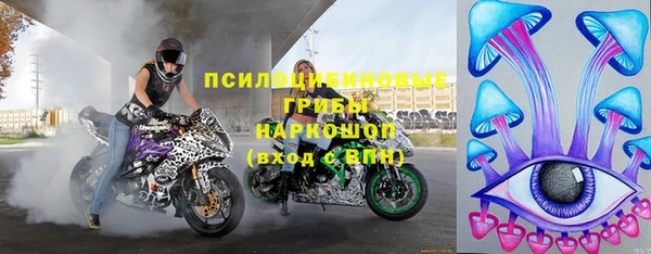 ALPHA PVP Горнозаводск